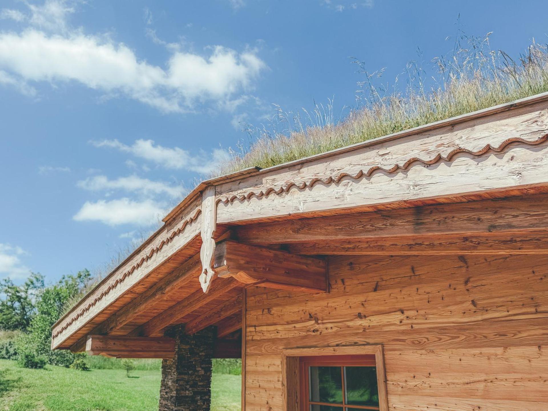 Chalets Resort Cinovec Exterior photo